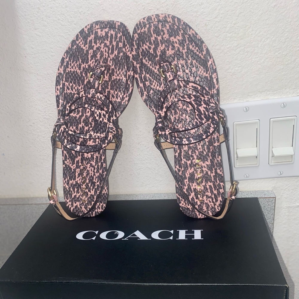 Coach Jeri Size 7.5B Snake-Embossed Sandals NWT - Picture 11 of 16